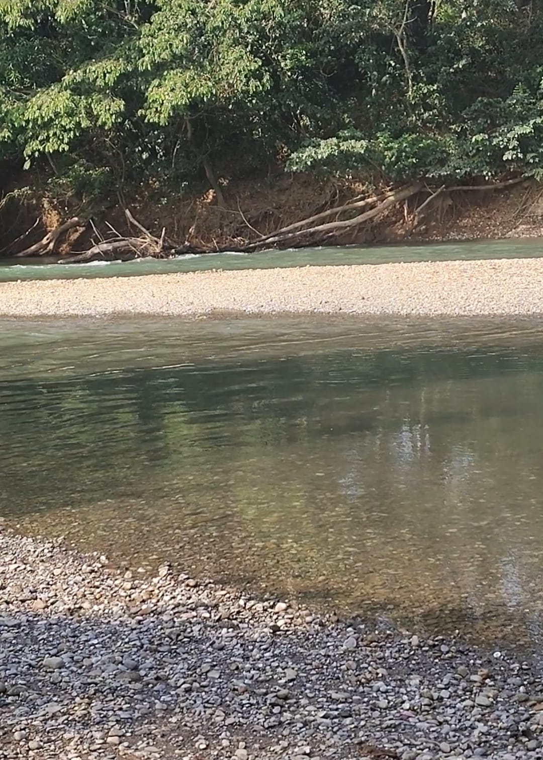 rio almilinga